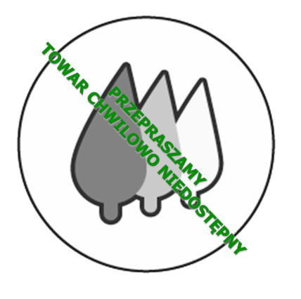 Bluszcz pospolity Bluszcz pospolity